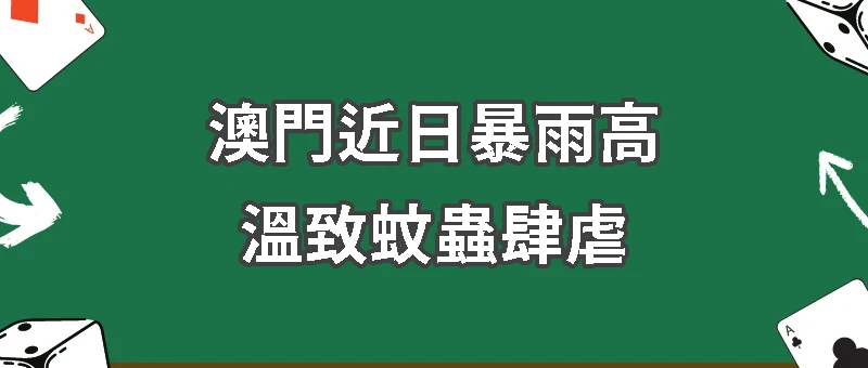 澳門近日(24/07/09)暴雨高溫致蚊蟲肆虐