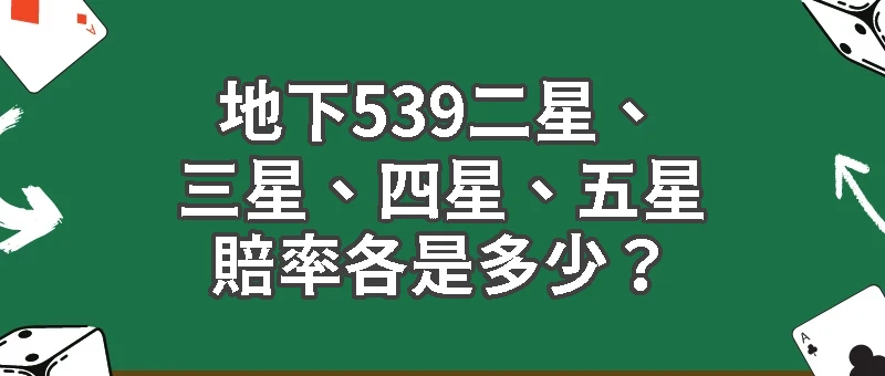 全網最詳細:地下539二星、三星、四星、五星賠率表